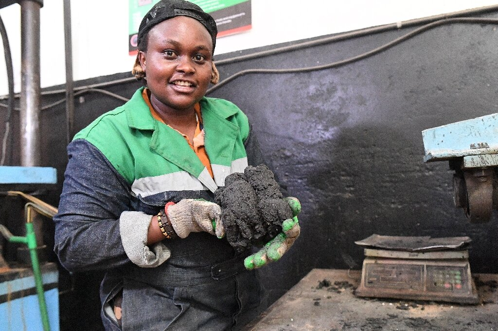 How Researchers are Turning Pineapple Waste Bricks