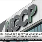 Red Alert Status Up for Luzon, Visayas Grids: What You Need to Know
