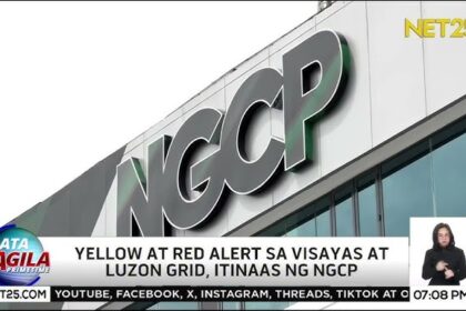 Red Alert Status Up for Luzon, Visayas Grids: What You Need to Know