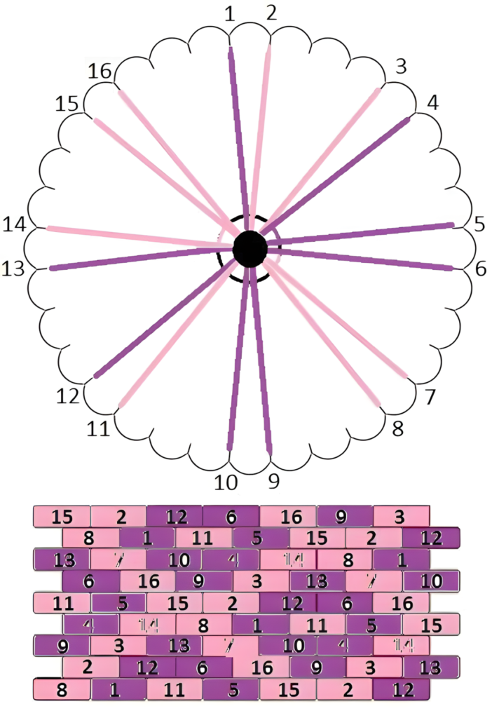 How to Read a 16-Strand Kumihimo Pattern: Setup & Sequence Guide